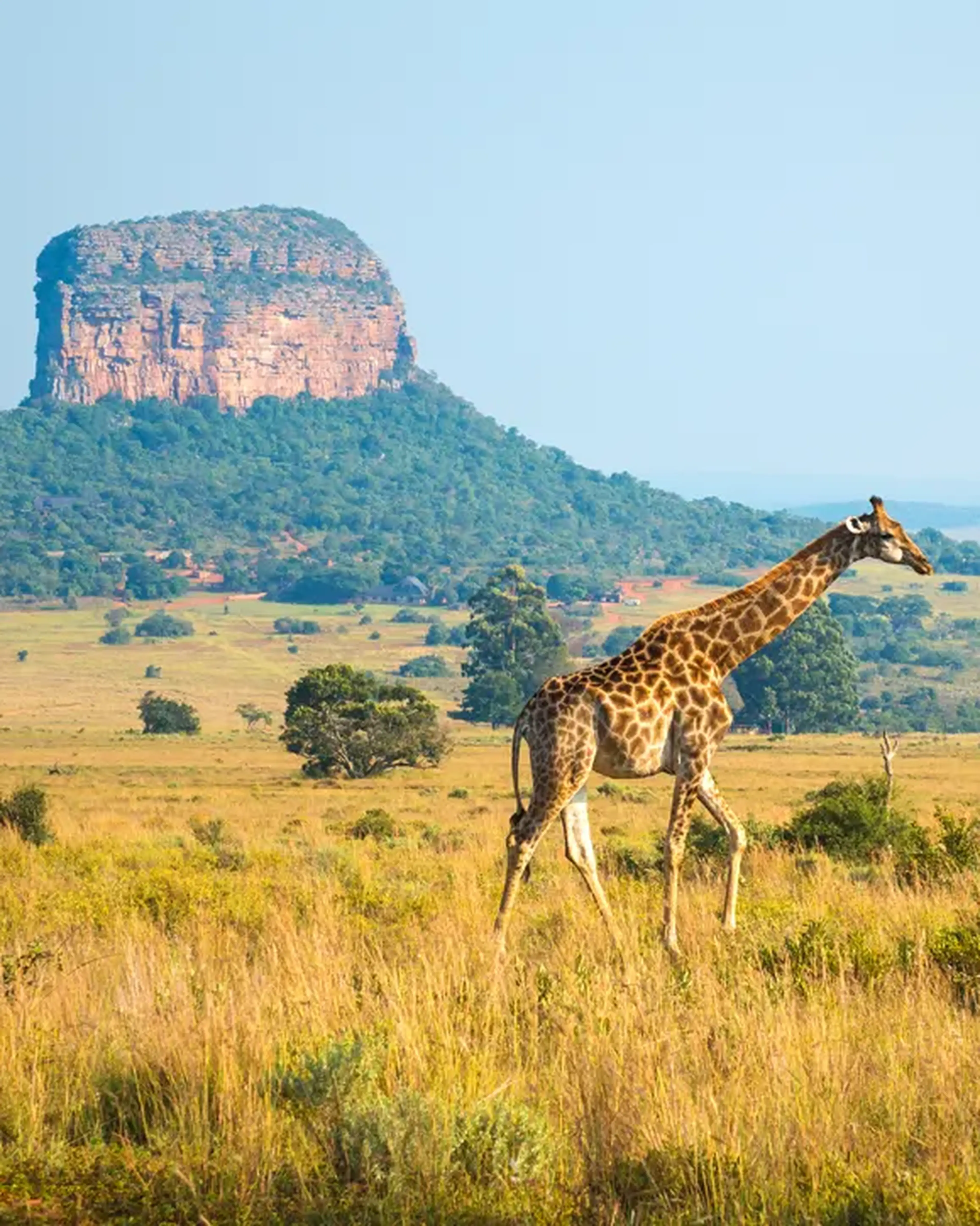 Browse Africa tours