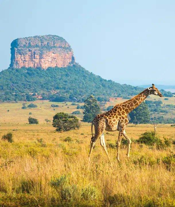 Browse Africa tours