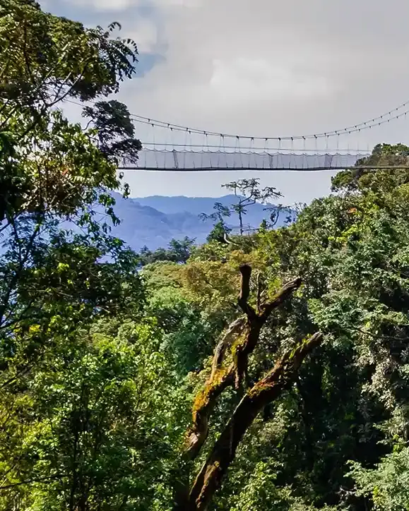 Rwanda tours