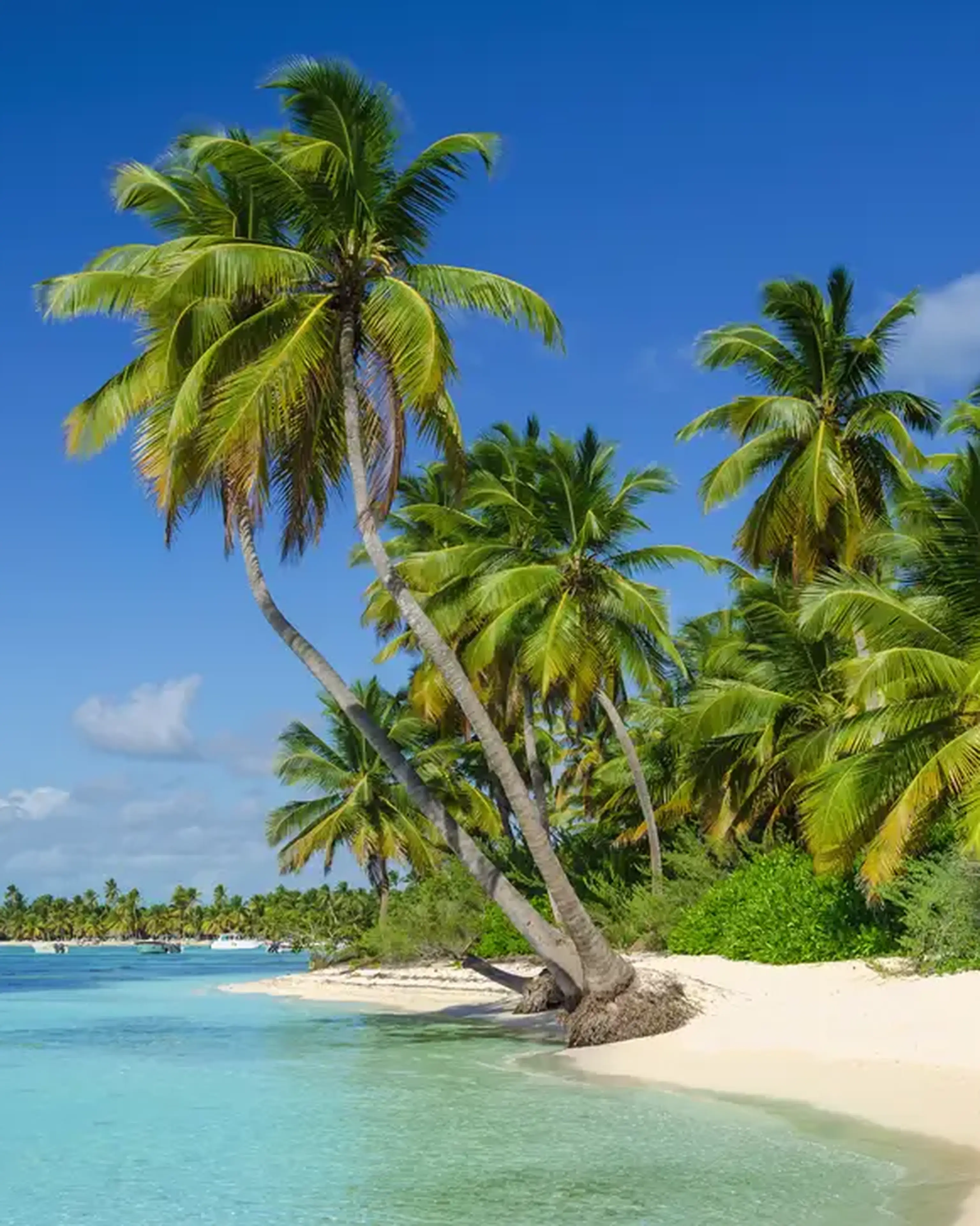 Dominican Republic tours