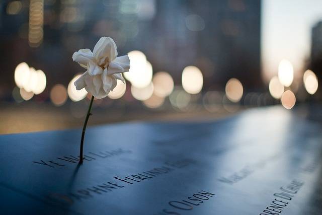Ground Zero