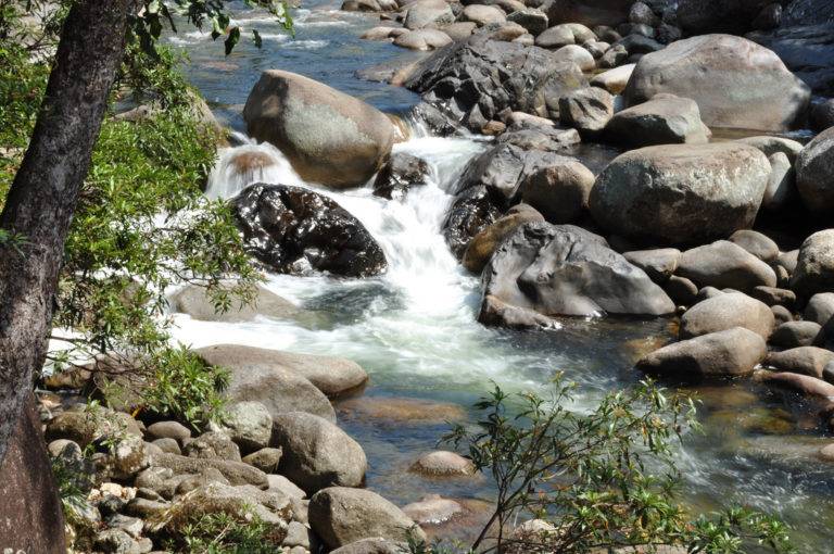 Mossman Gorge