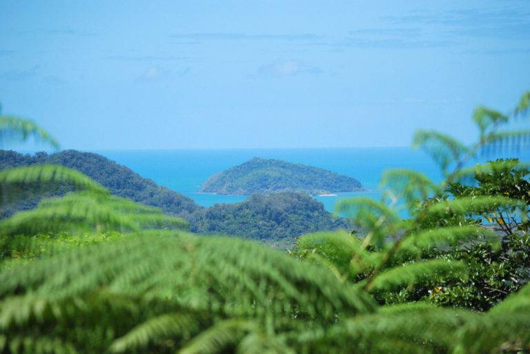 Cape Tribulation
