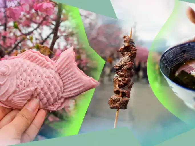 food options in japan