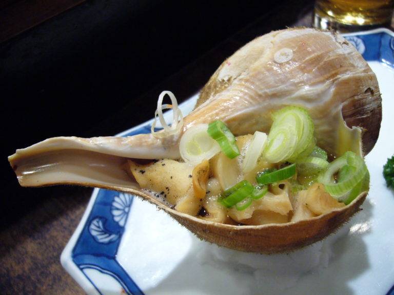 Conch-768x576