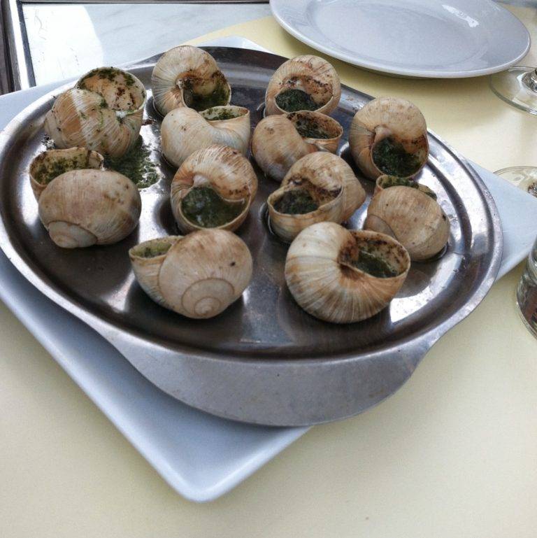 Escargot-768x769