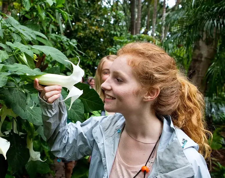 Student examining a large white trumpet flower during a rainforest activity in Costa Rica