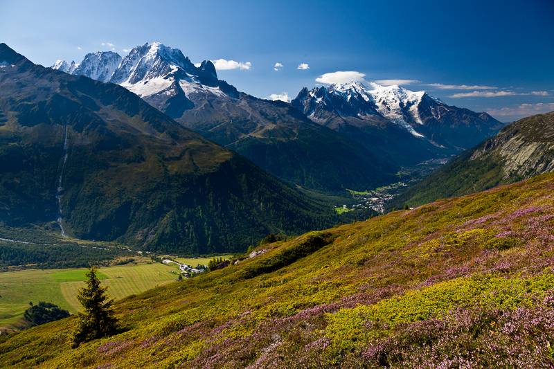 Alps