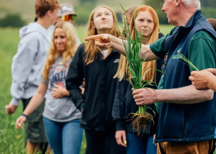Students in field in Ireland