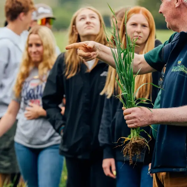 Students in field in Ireland