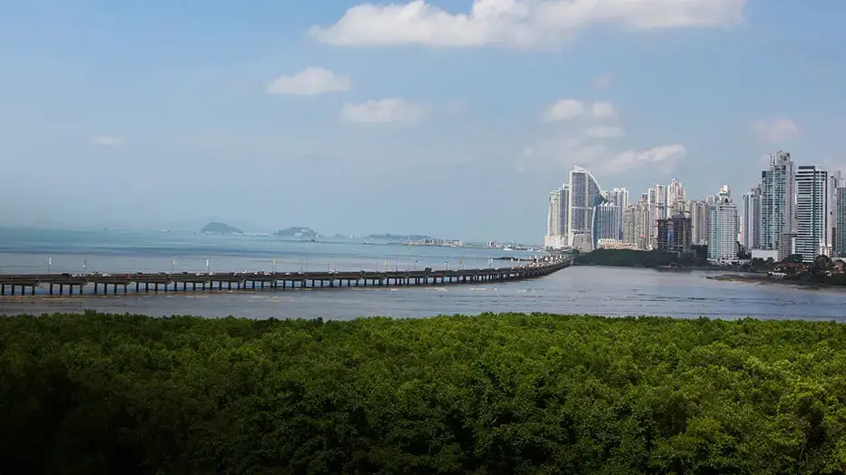 view of downtown panama city in panama