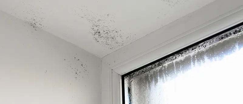 How to Get Rid of Condensation on Windows | 21 Degrees | 21 Degrees