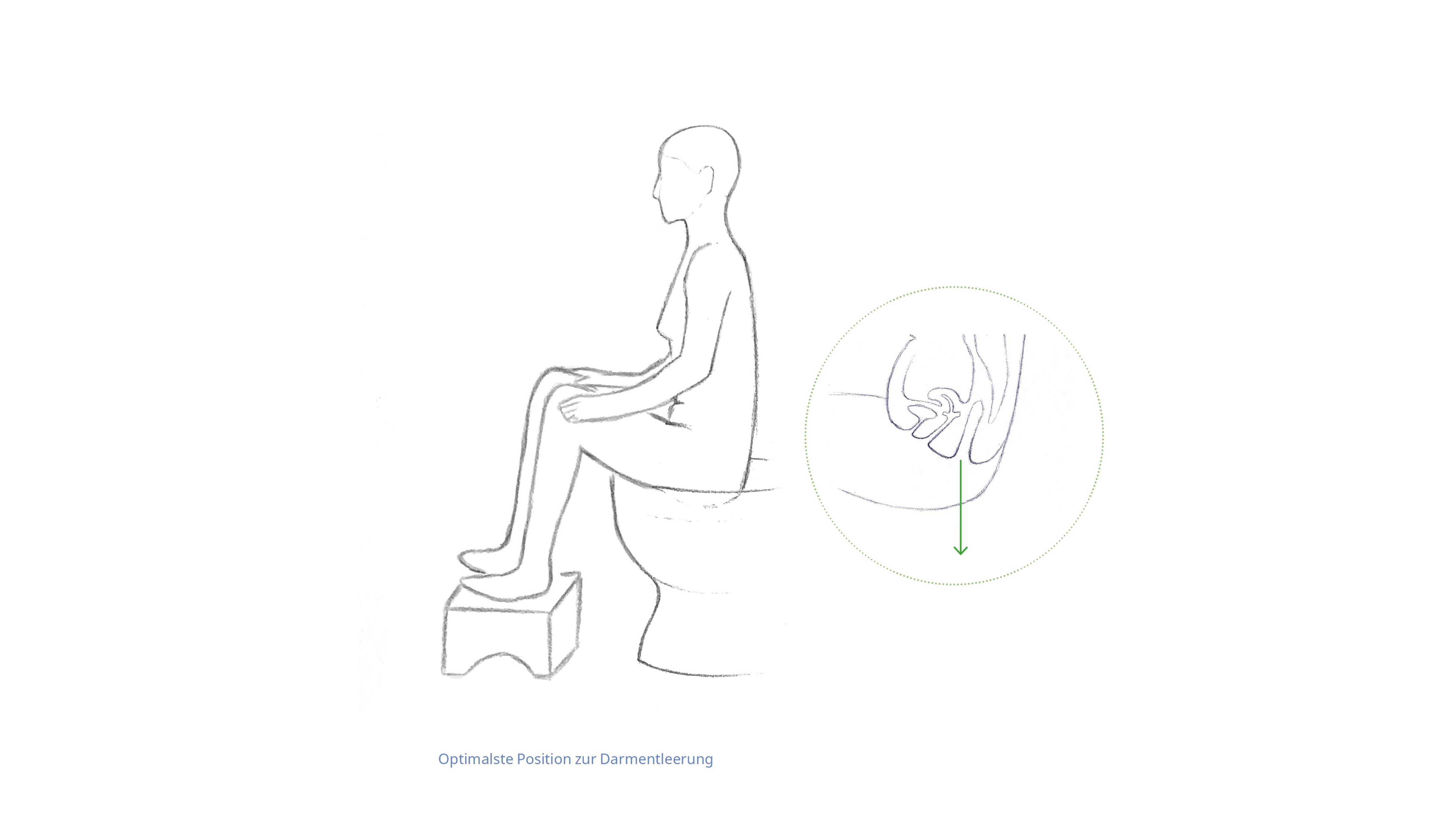 Toilettenverhalten, richtiges Sitzposition auf WC