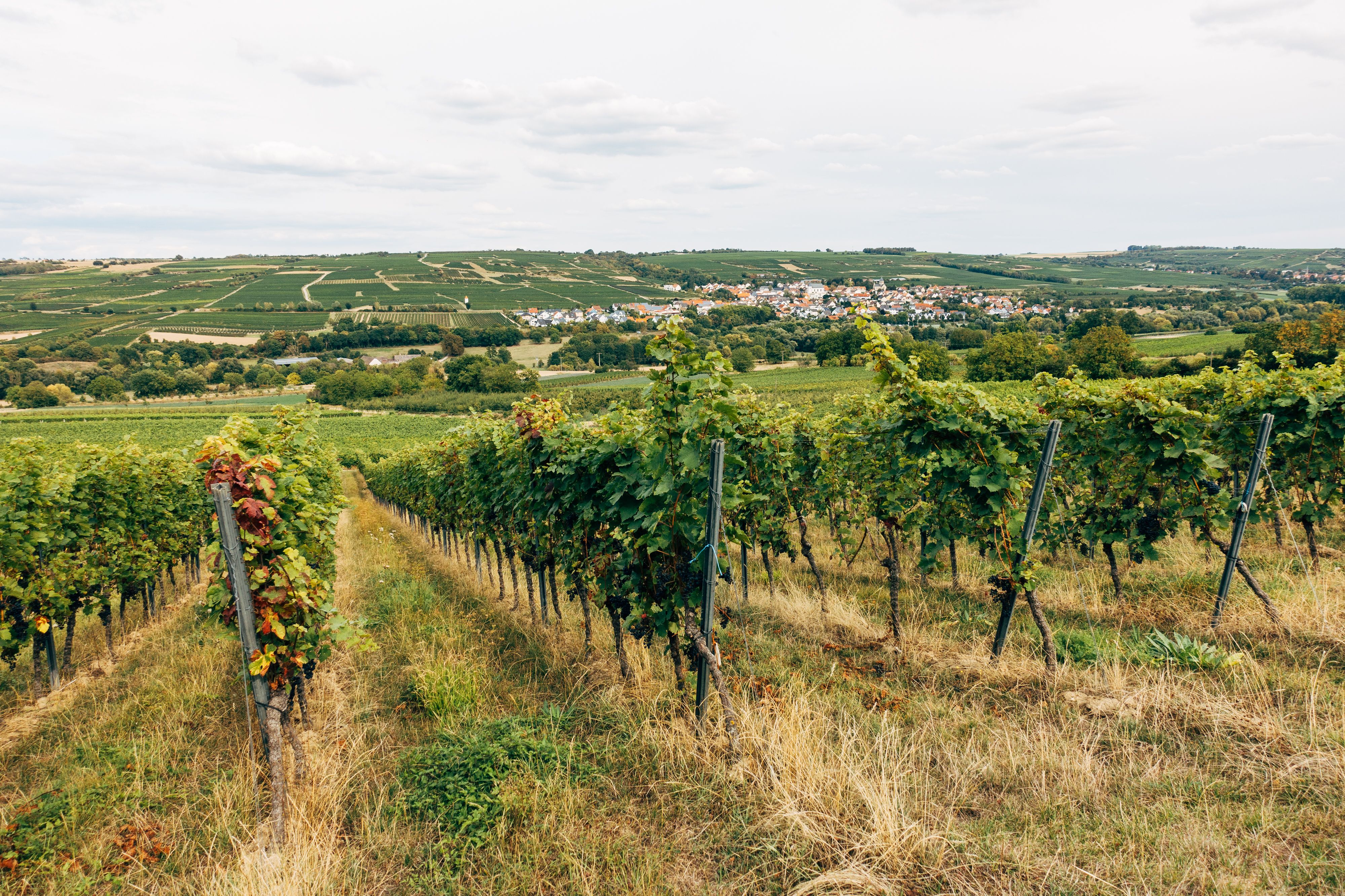 Wachau