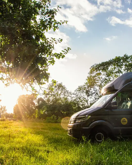Bulli steht vor Baum mit Sonnenlicht