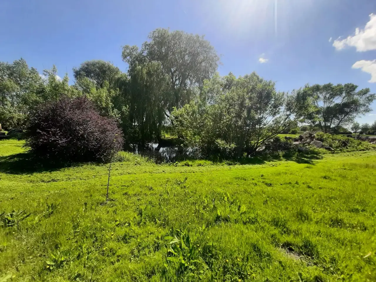 Grüne Wiese mit Teich zum camping