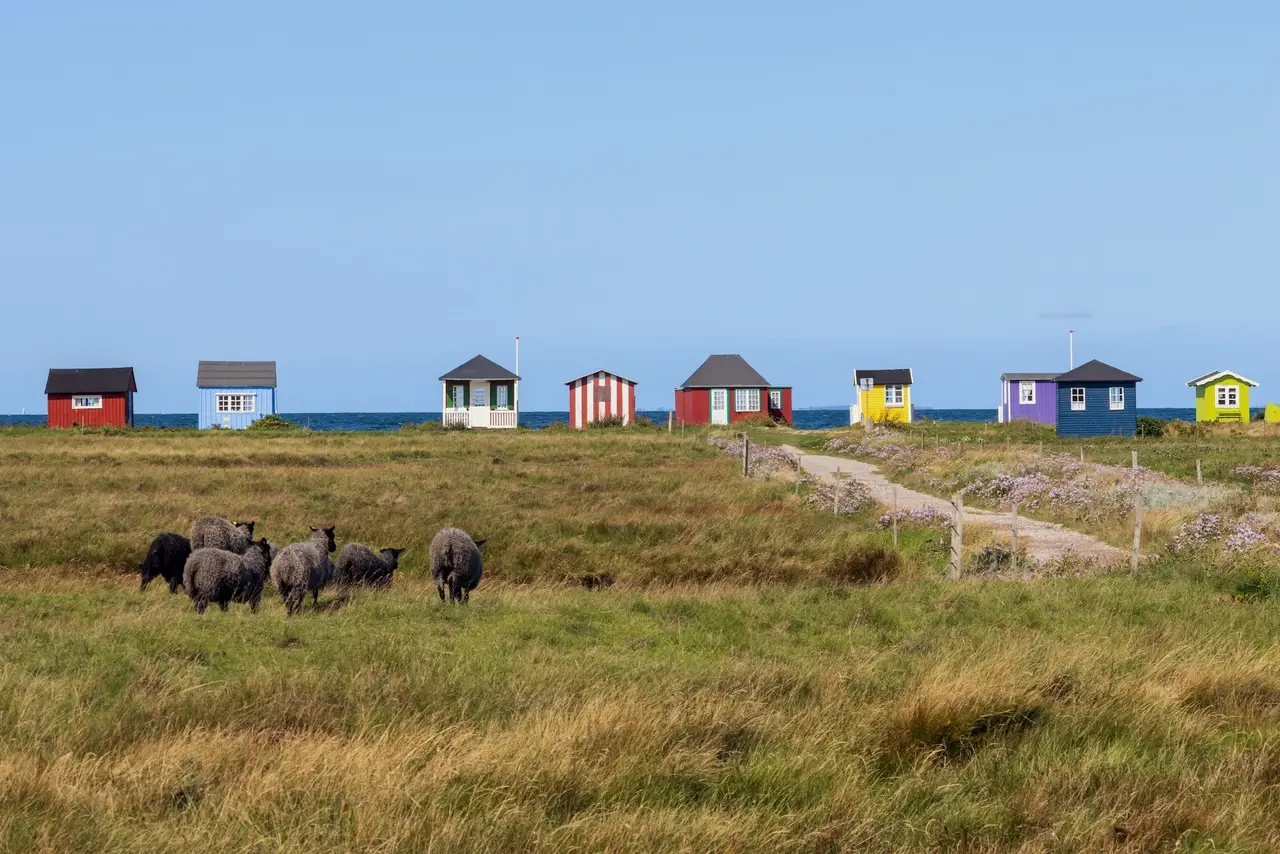 Bunte Strandhütten auf der Insel Aero
