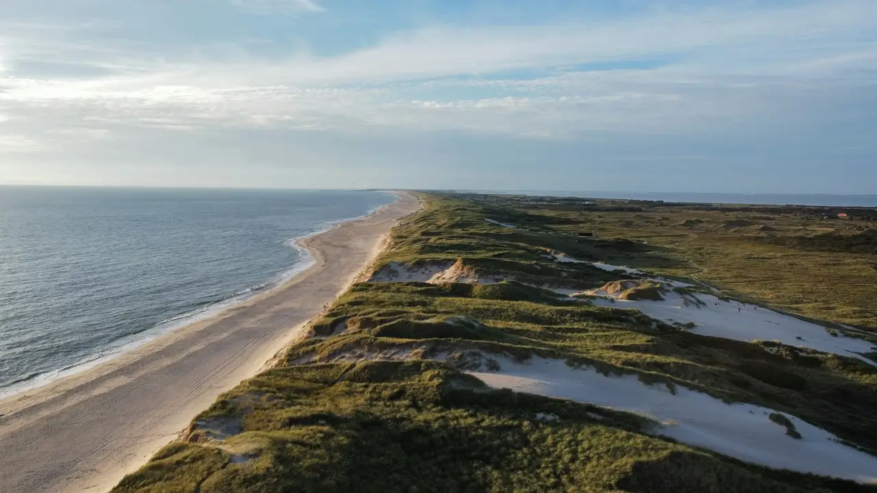 Landschaftsfoto von einem langen Sandstrand in Dänemark, dahinter Dünenlandschaft