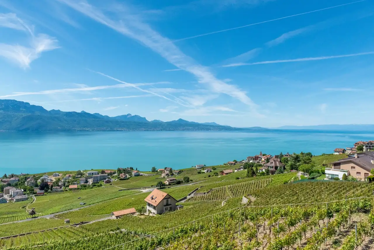 Ausblick auf einen See in der Schweiz