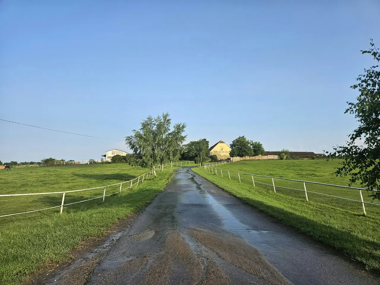 Weg zwischen zwei abgezäunten Feldern