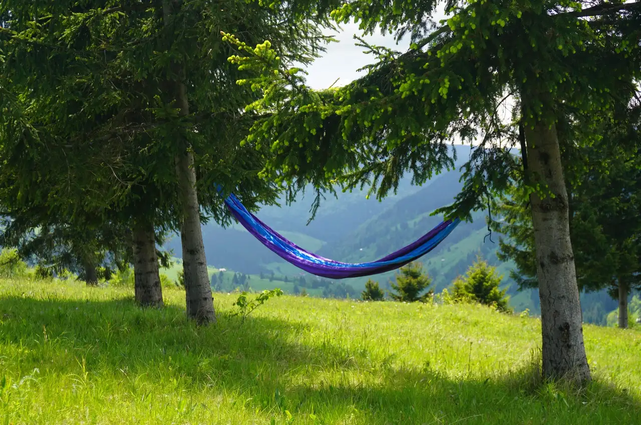 Hängematte hängt zwischen zwei Bäumen