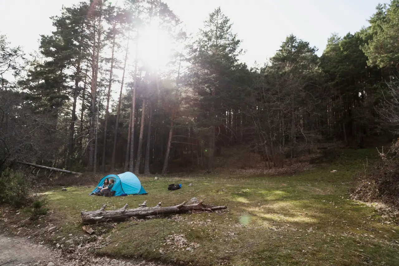 Pärchen zeltet im Wald in Dänemark
