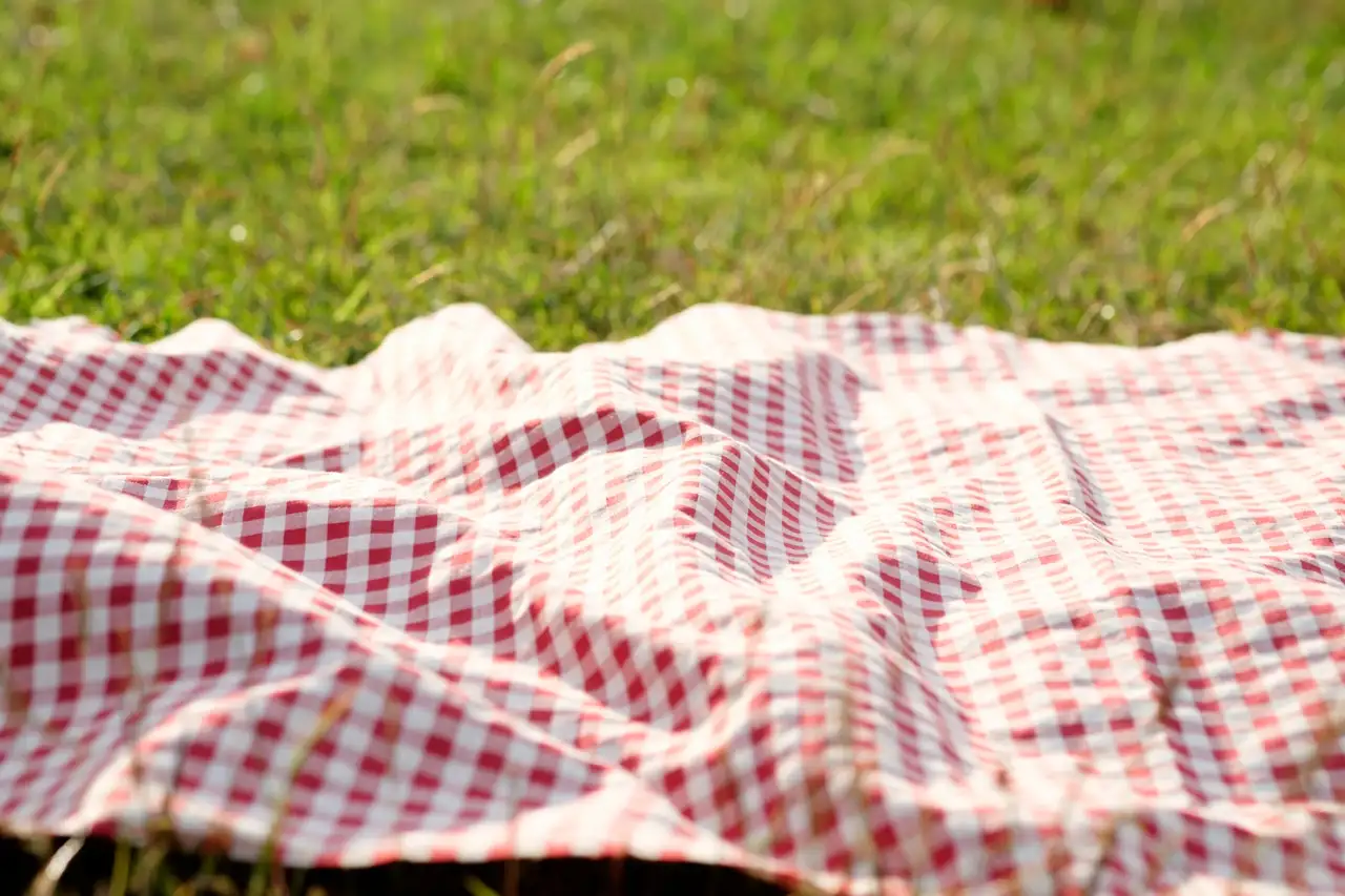 picknickdecke liegt auf der wiese