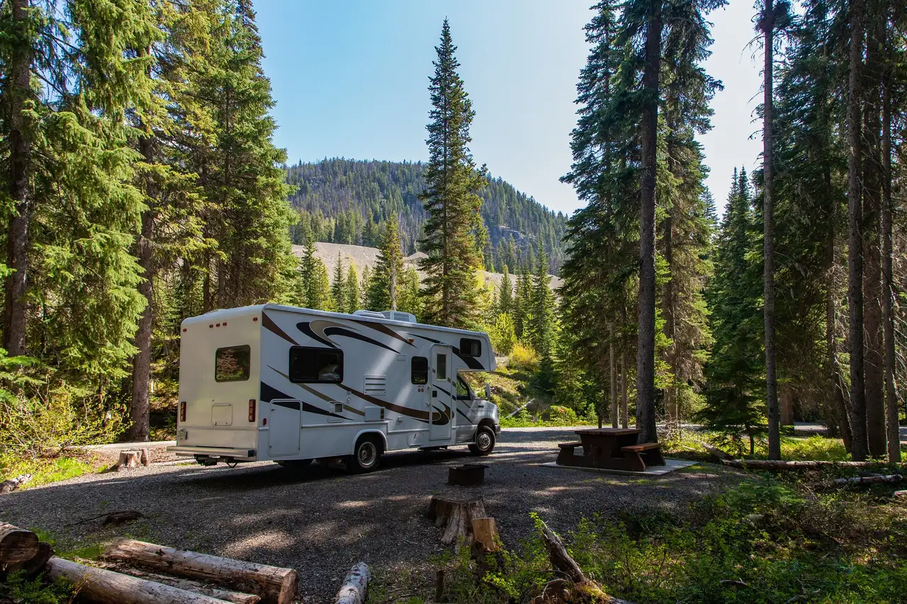 VanSite WoMo Stellplatz im skandinavischen Wald