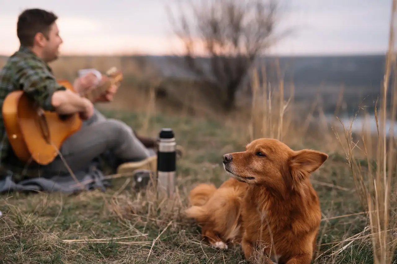 Eine Person sitzt mit seinem Hund im Gras und spielt Gitarre