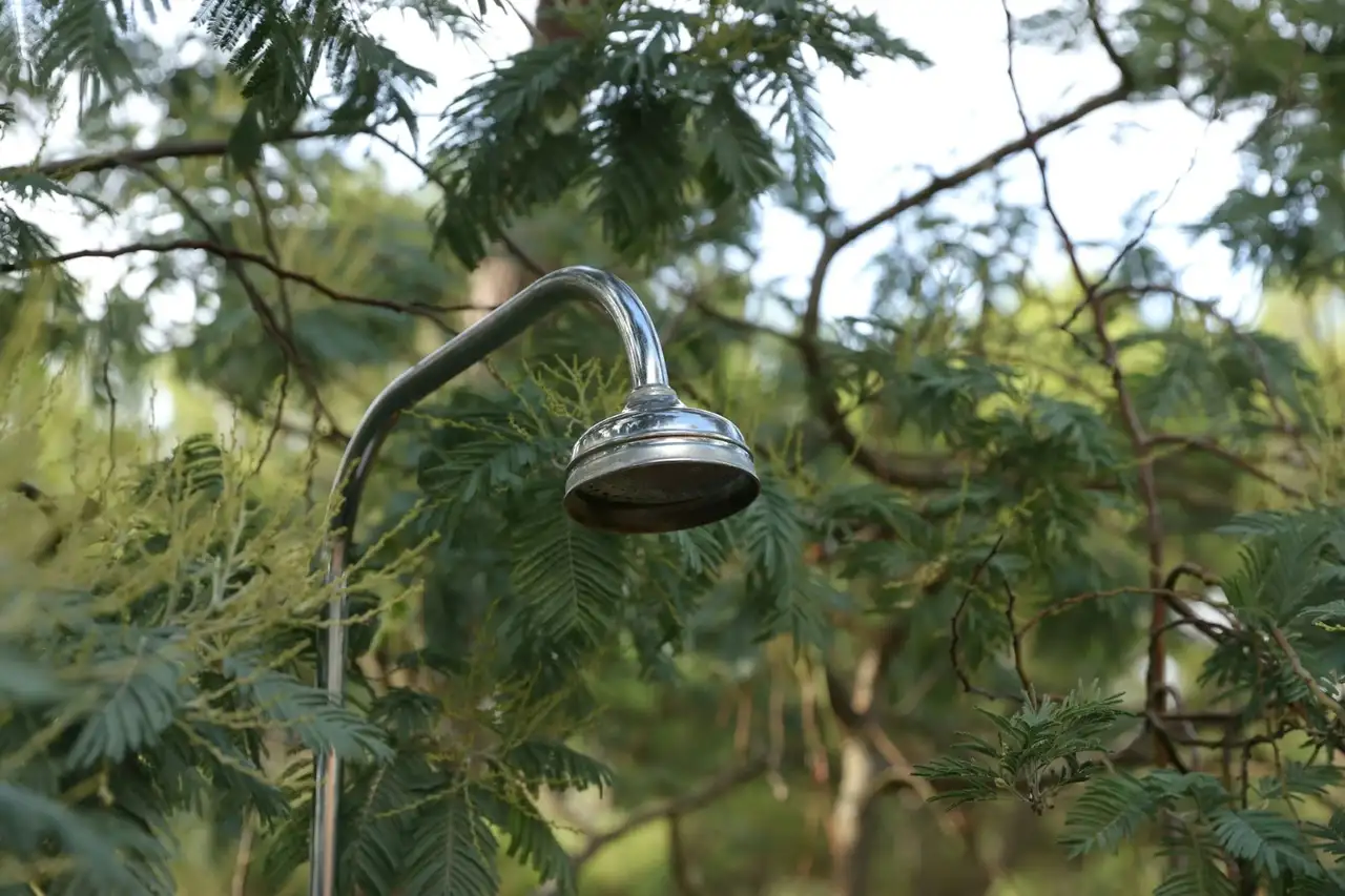 duschkopf im gruenen