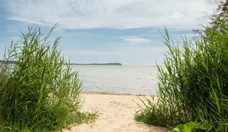 Strand an der Ostsee.