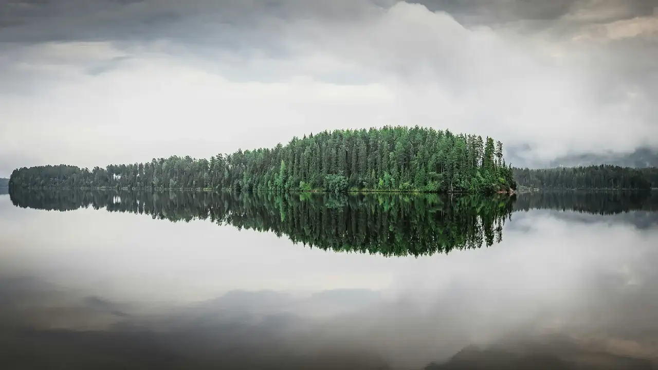 See und Wald in Dalarna in Schweden