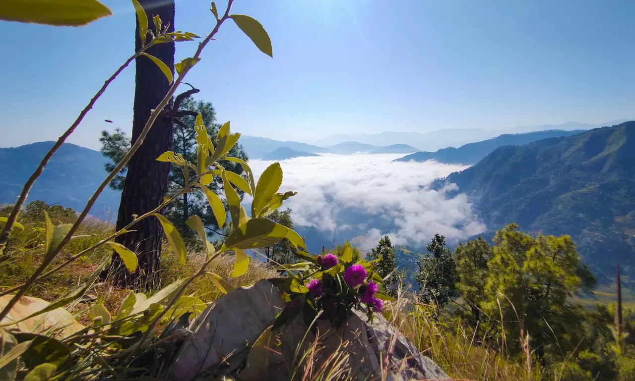 Ausblick auf die Allgäuer Alpen