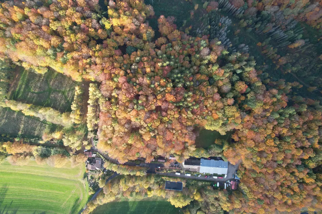 Vogelperspektive von Wäldern und Camping Platz