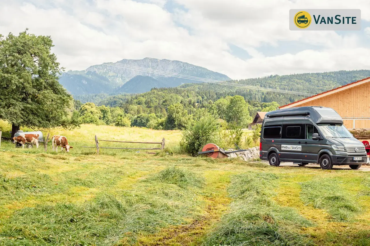 Links Kühe, rechts ein Van auf dem VanSite steht, grüne Wiese im Vordergrund, im Hintergrund Berge