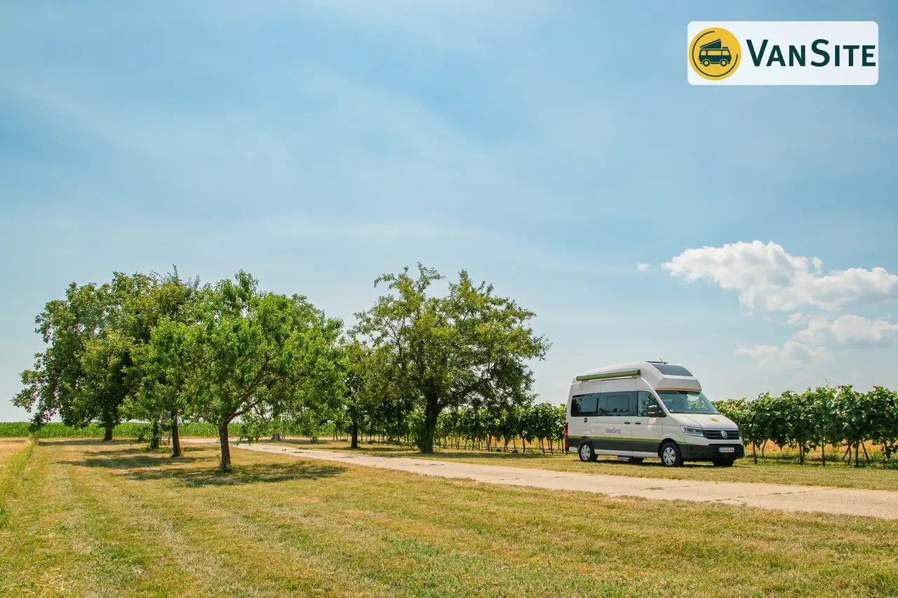 Weißer Van parkt vor Weinreben