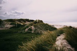 Dünen Landschaft Dänemark