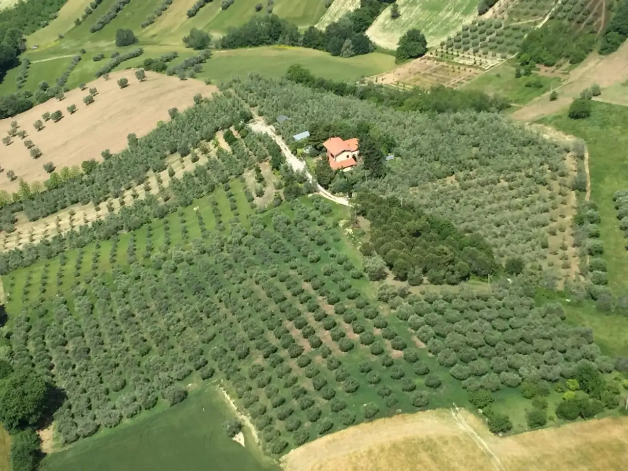 Ein Haus steht auf einem Hügel in Italien zwischen Weinfeldern
