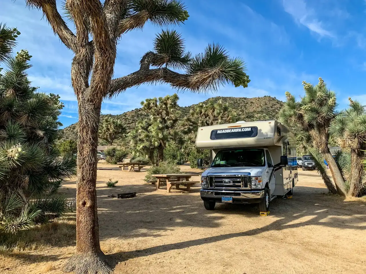 Wohnmobil in der Wüste unter Palmen