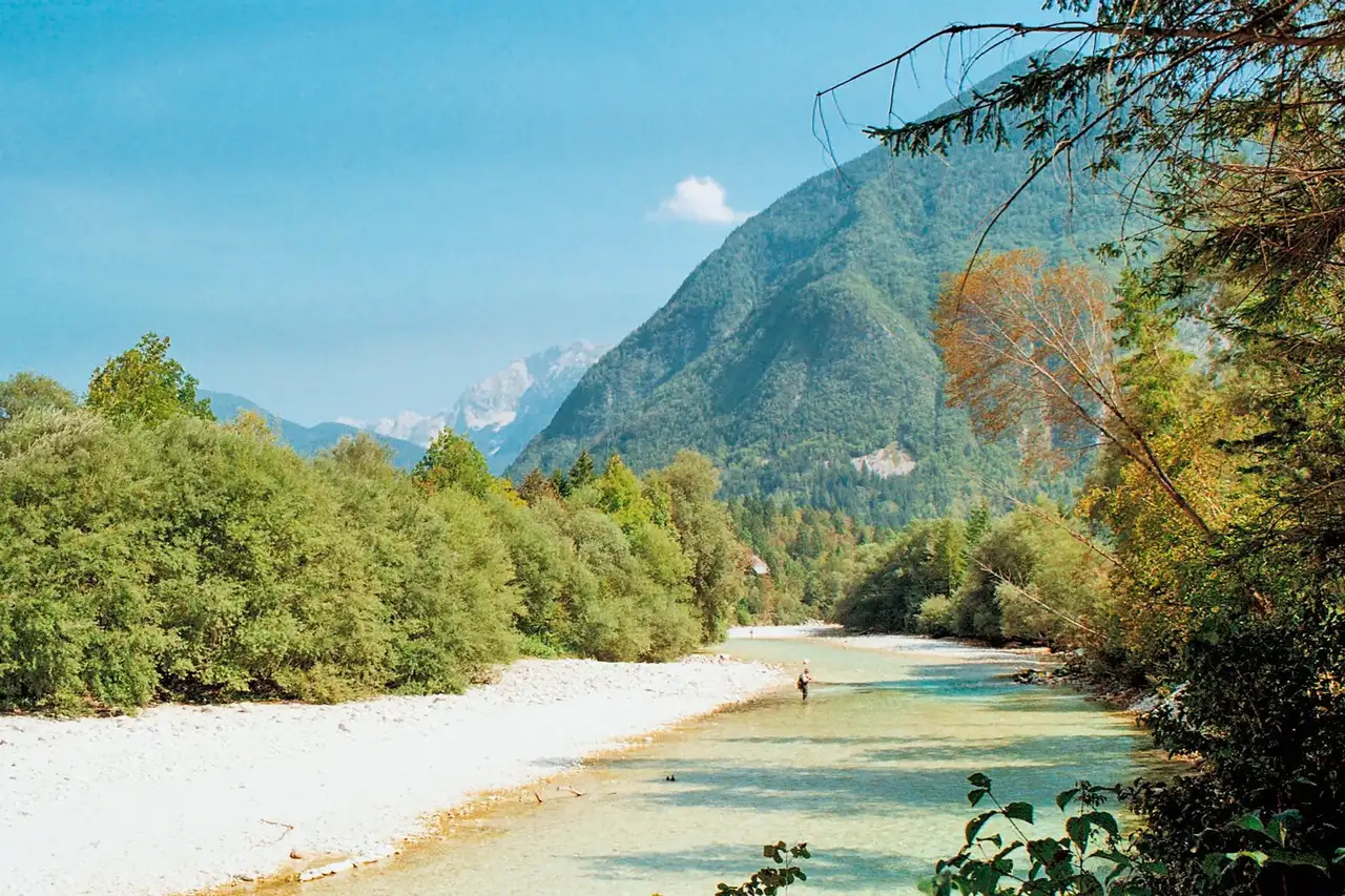 Soca Tal