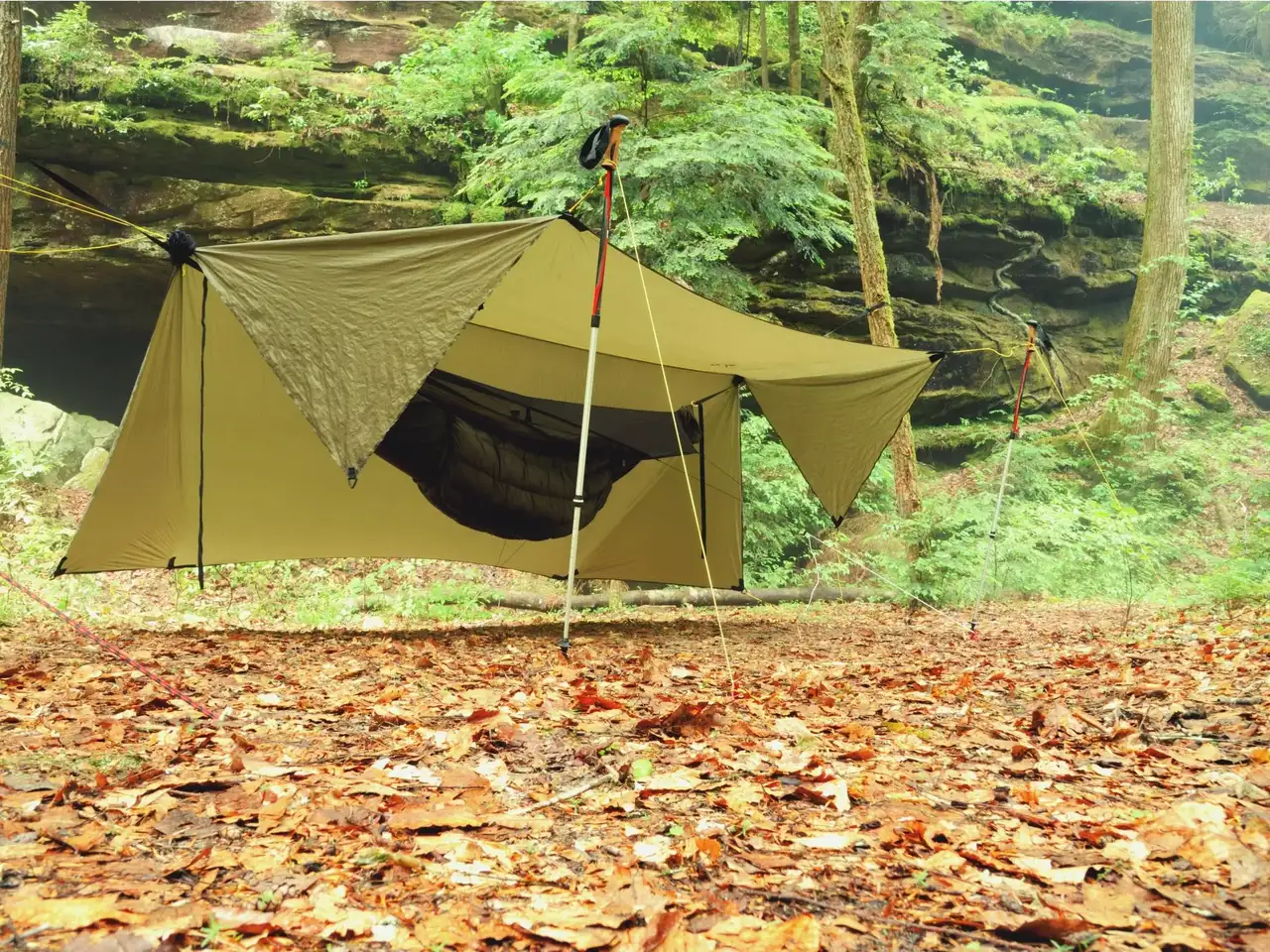 Ein Tarp mit einer Hängematte im Wald.