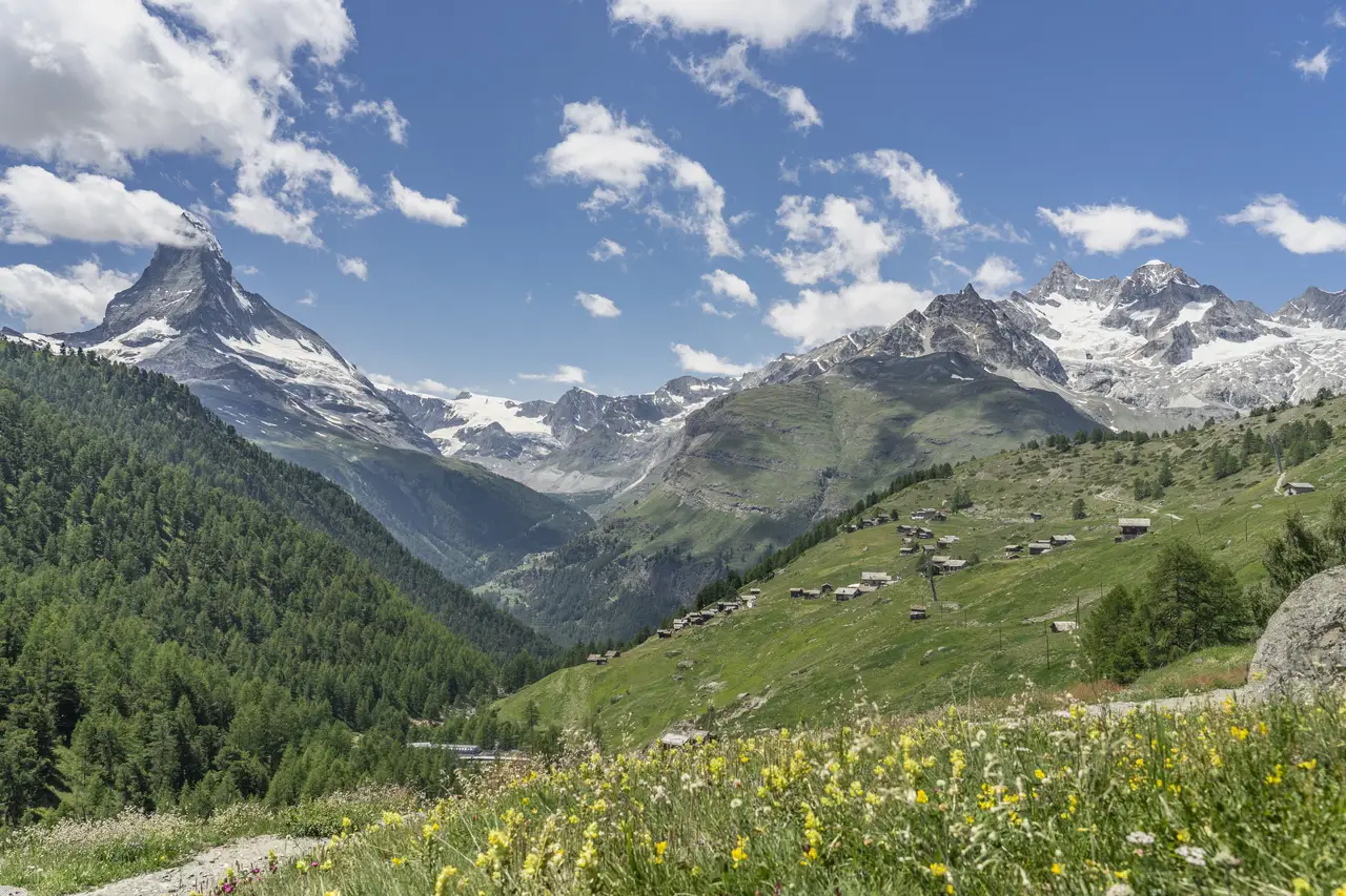 Berglandschaft mit Blumen beim Campen in Österreich im Sommer