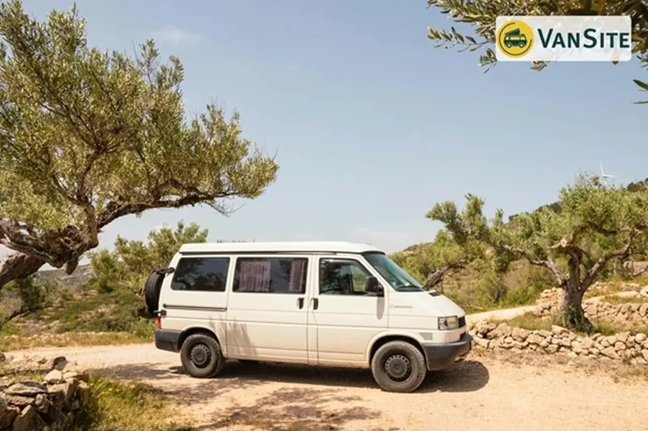 Weißer Van steht auf einem Schotterweg zwischen Olivenbäumen