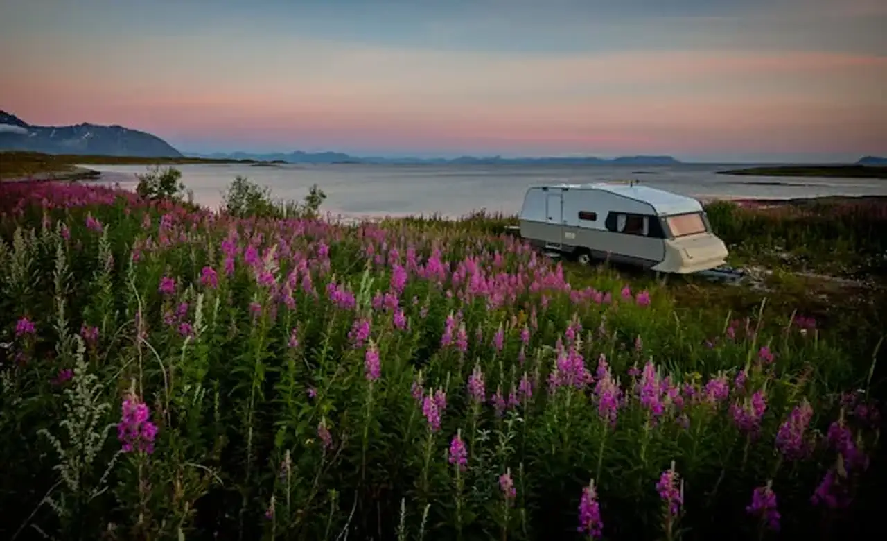 Campen zwischen Blumen in Norwegen