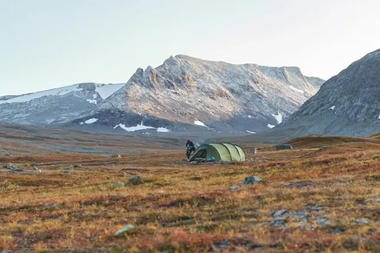 Grünes Zelt steht auf in der Natur Schwedens