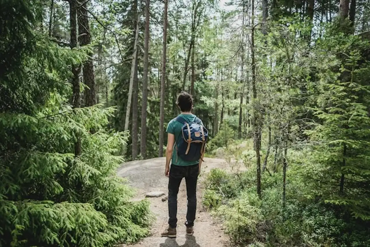 Wandern im Wald