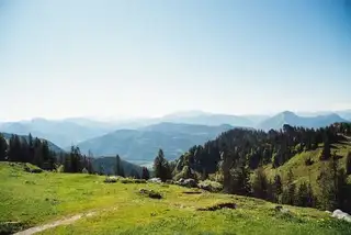Lavendel Wiesen in Frankreich