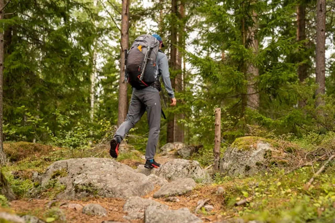 Person trekkt durch den Wald