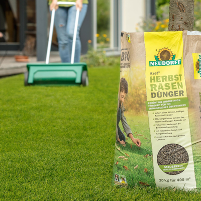 Azet HerbstRasenDünger Anwendung mit Streuwagen