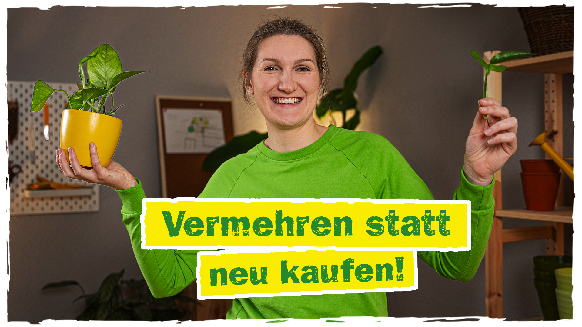 Zimmerpflanzen umtopfen: So gelingt es